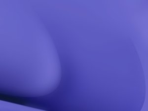 风险控制